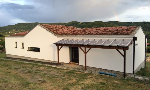 šikmá extenzívna zelená strecha, rozkvitnutá na ružovo
