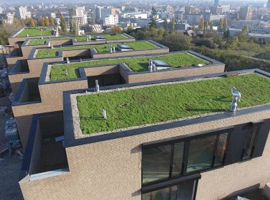 Zelené strechy: kombinácia moderného designu a udržateľnosti